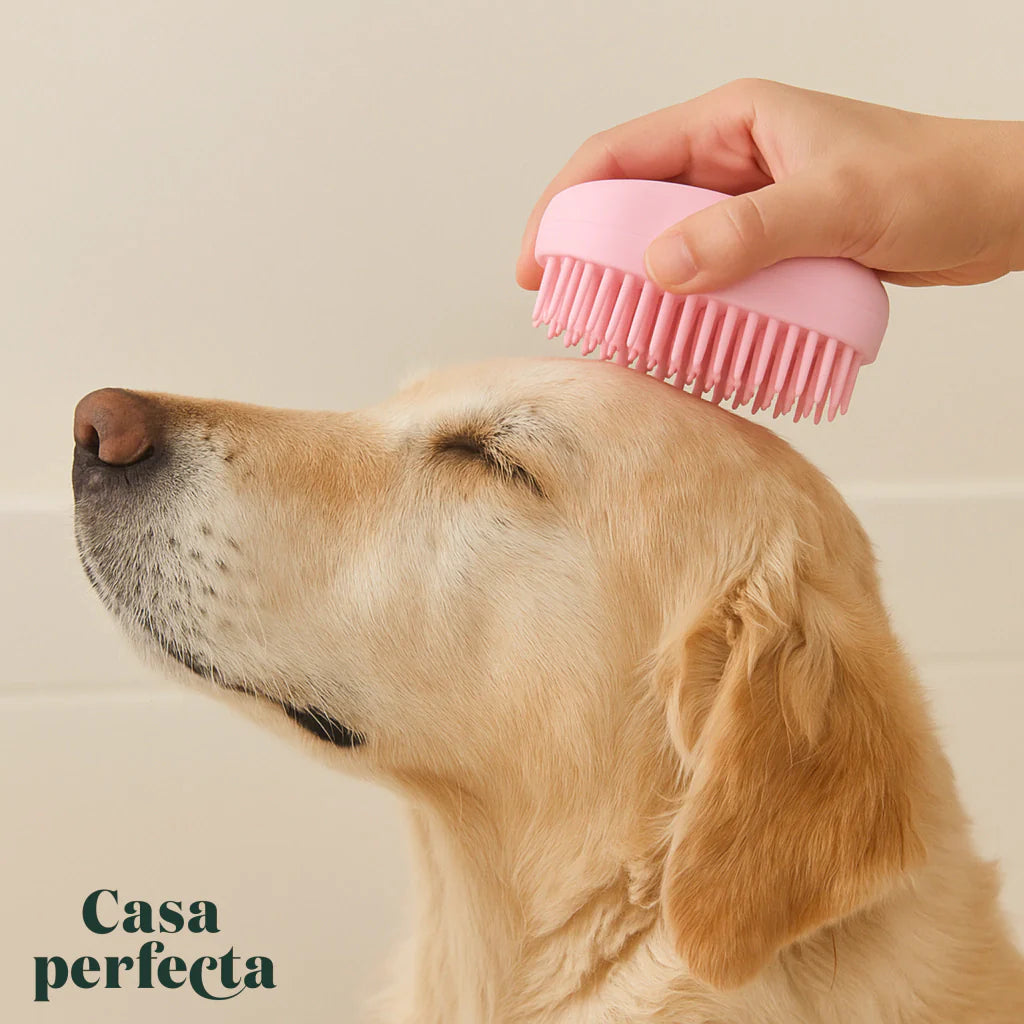 Escova massageadora de banho | Com dispenser