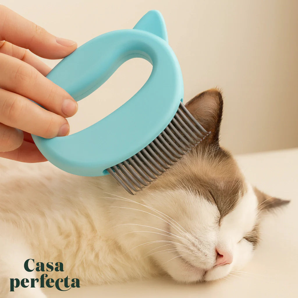 Escova arranhadora | Pets felizes